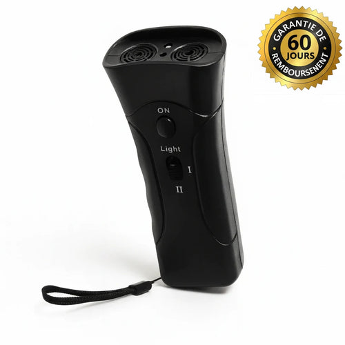 Empêchez Facilement Votre Chien de Tirer Pendant Les Balades