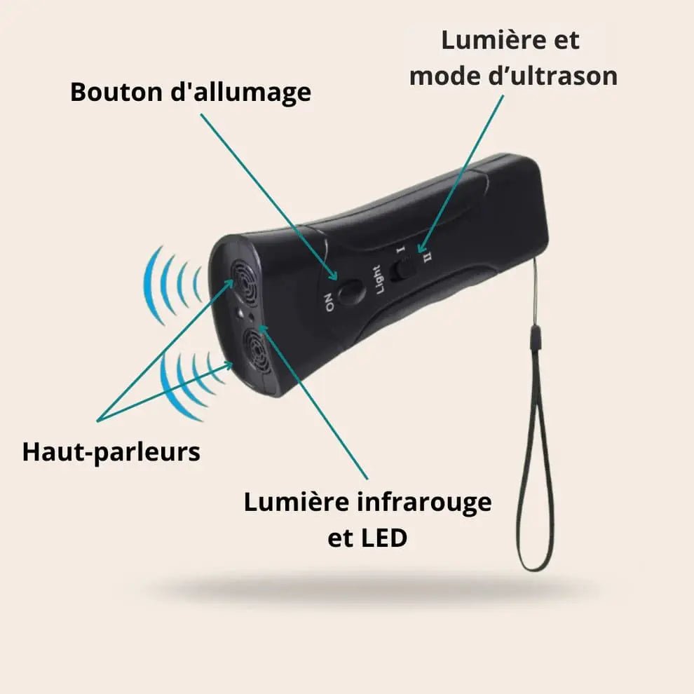 Empêchez Facilement Votre Chien de Tirer Pendant Les Balades