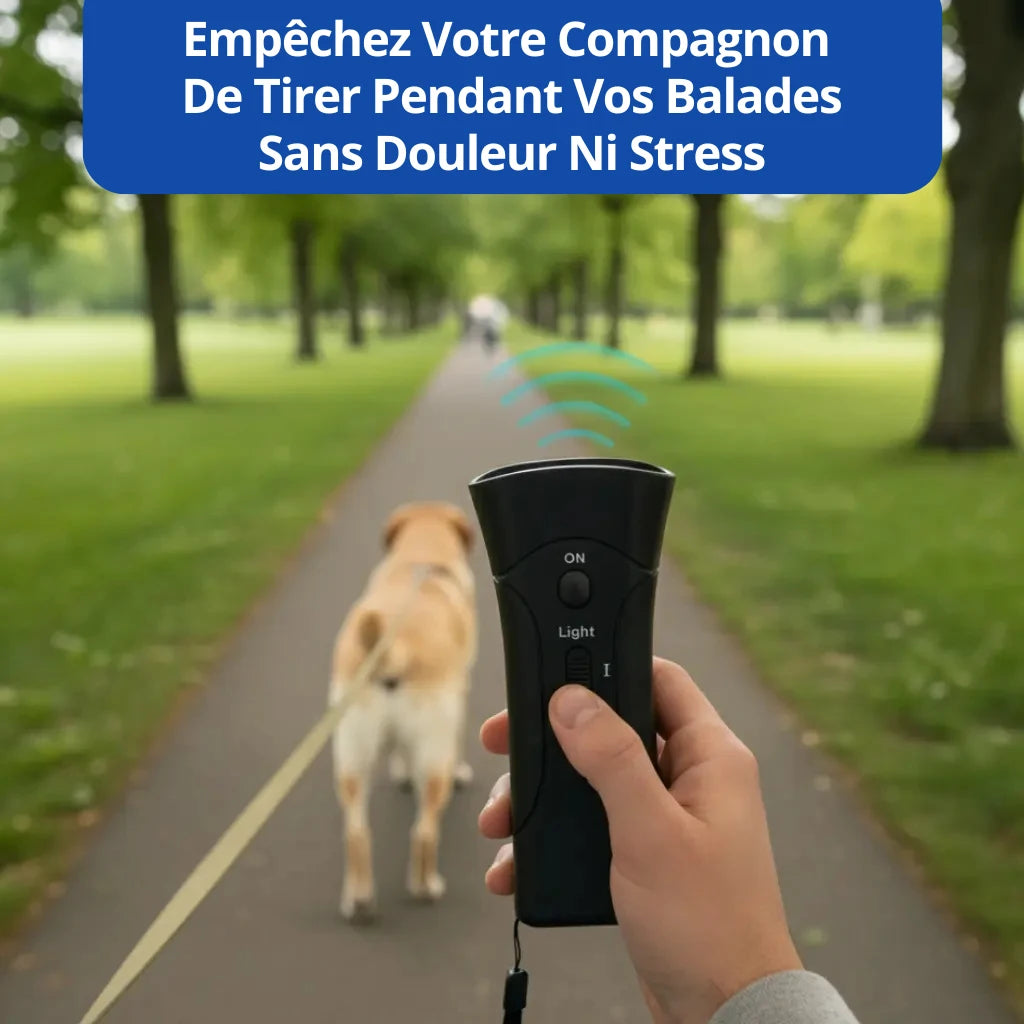 Empêchez Facilement Votre Chien de Tirer Pendant Les Balades