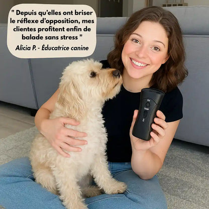 Empêchez Facilement Votre Chien de Tirer Pendant Les Balades